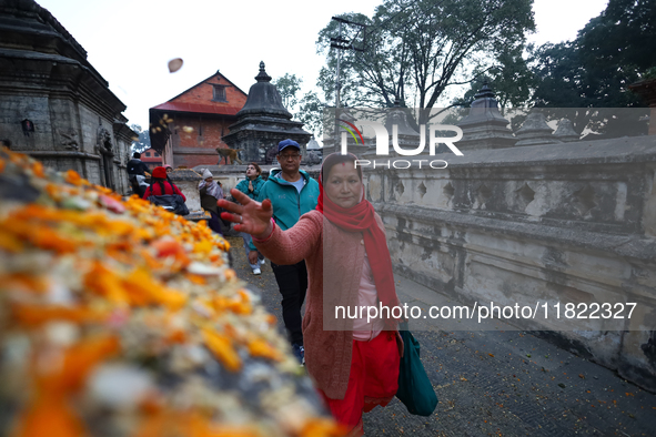 Nepali Hindu devotees offer ''Sat-bij,'' seven sacred seeds, to a Shivalinga (idol of Lord Shiva) in the premises of Pashupatinath Temple in...