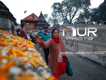 Nepali Hindu devotees offer ''Sat-bij,'' seven sacred seeds, to a Shivalinga (idol of Lord Shiva) in the premises of Pashupatinath Temple in...