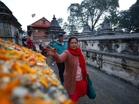 Nepali Hindu devotees offer ''Sat-bij,'' seven sacred seeds, to a Shivalinga (idol of Lord Shiva) in the premises of Pashupatinath Temple in...