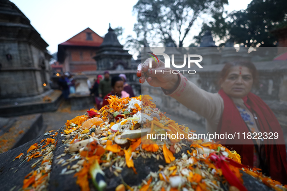 Nepali Hindu devotees offer ''Sat-bij,'' seven sacred seeds, to a Shivalinga (idol of Lord Shiva) in the premises of Pashupatinath Temple in...