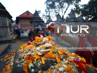 Nepali Hindu devotees offer ''Sat-bij,'' seven sacred seeds, to a Shivalinga (idol of Lord Shiva) in the premises of Pashupatinath Temple in...