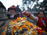 Nepali Hindu devotees offer ''Sat-bij,'' seven sacred seeds, to a Shivalinga (idol of Lord Shiva) in the premises of Pashupatinath Temple in...