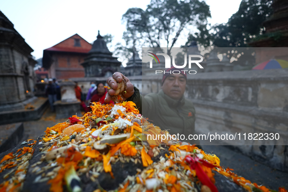 Nepali Hindu devotees offer ''Sat-bij,'' seven sacred seeds, to a Shivalinga (idol of Lord Shiva) in the premises of Pashupatinath Temple in...