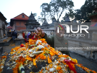 Nepali Hindu devotees offer ''Sat-bij,'' seven sacred seeds, to a Shivalinga (idol of Lord Shiva) in the premises of Pashupatinath Temple in...