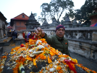 Nepali Hindu devotees offer ''Sat-bij,'' seven sacred seeds, to a Shivalinga (idol of Lord Shiva) in the premises of Pashupatinath Temple in...