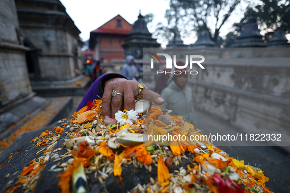 Nepali Hindu devotees offer ''Sat-bij,'' seven sacred seeds, to a Shivalinga (idol of Lord Shiva) in the premises of Pashupatinath Temple in...