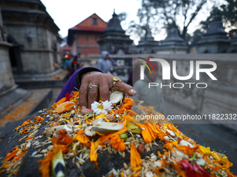 Nepali Hindu devotees offer ''Sat-bij,'' seven sacred seeds, to a Shivalinga (idol of Lord Shiva) in the premises of Pashupatinath Temple in...