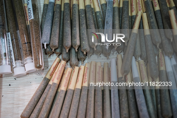 Distribute rolled marijuana cigarettes from a cannabis shop during the Asia International Hemp Expo (AIHE) in Bangkok, Thailand, on November...