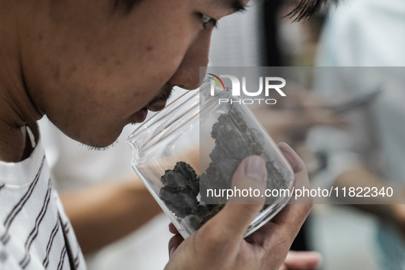 A visitor smells marijuana during the Asia International Hemp Expo (AIHE) in Bangkok, Thailand, on November 30, 2024. 