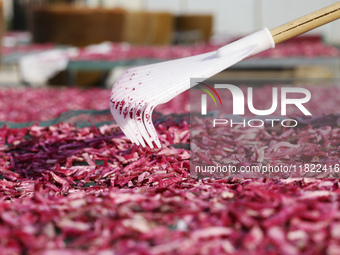 Farmers make dried radish in Suqian, Jiangsu province, China, on November 30, 2024. (