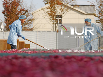 Farmers make dried radish in Suqian, Jiangsu province, China, on November 30, 2024. (