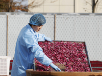 A farmer makes dried radish in Suqian, Jiangsu province, China, on November 30, 2024. (