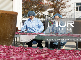 Farmers make dried radish in Suqian, Jiangsu province, China, on November 30, 2024. (