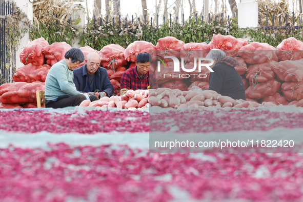 Farmers make dried radish in Suqian, Jiangsu province, China, on November 30, 2024. 