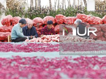 Farmers make dried radish in Suqian, Jiangsu province, China, on November 30, 2024. (