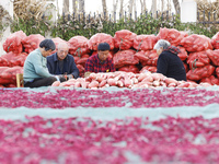 Farmers make dried radish in Suqian, Jiangsu province, China, on November 30, 2024. (