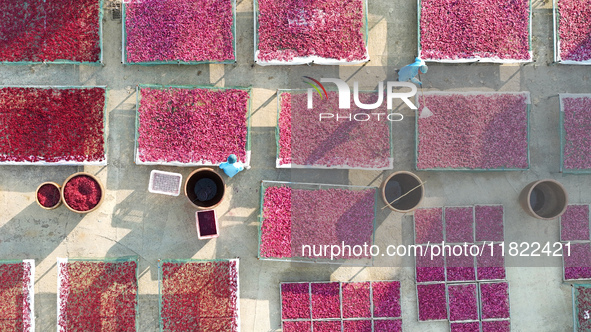 Farmers dry radishes in Suqian, Jiangsu province, China, on November 30, 2024. 