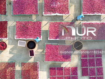 Farmers dry radishes in Suqian, Jiangsu province, China, on November 30, 2024. (