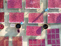 Farmers dry radishes in Suqian, Jiangsu province, China, on November 30, 2024. (