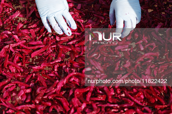 A farmer makes dried radish in Suqian, Jiangsu province, China, on November 30, 2024. 