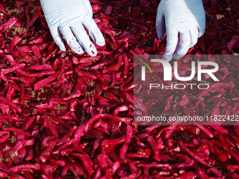 A farmer makes dried radish in Suqian, Jiangsu province, China, on November 30, 2024. (