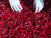 A farmer makes dried radish in Suqian, Jiangsu province, China, on November 30, 2024. (