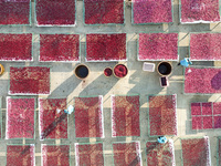 Farmers dry radishes in Suqian, Jiangsu province, China, on November 30, 2024. (