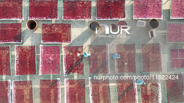 Farmers dry radishes in Suqian, Jiangsu province, China, on November 30, 2024. 