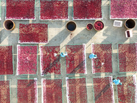 Farmers dry radishes in Suqian, Jiangsu province, China, on November 30, 2024. (