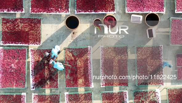 Farmers dry radishes in Suqian, Jiangsu province, China, on November 30, 2024. 