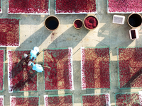 Farmers dry radishes in Suqian, Jiangsu province, China, on November 30, 2024. (