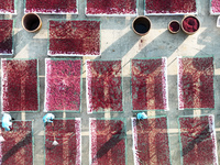 Farmers dry radishes in Suqian, Jiangsu province, China, on November 30, 2024. (