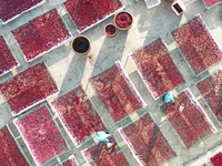 Farmers dry radishes in Suqian, Jiangsu province, China, on November 30, 2024. (