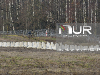 Soldiers of the Polish border guard patrol next to border posts at the Polish-Russian border in Dabrowka, Poland, on November 30, 2024. The...