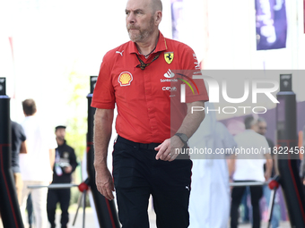 Jock Clear before Sprint ahead of the Formula 1 Grand Prix of Qatar at Lusail International Circuit in Lusail, Qatar on November 30, 2024. (