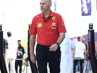 Jock Clear before Sprint ahead of the Formula 1 Grand Prix of Qatar at Lusail International Circuit in Lusail, Qatar on November 30, 2024. (