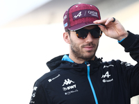 Pierre Gasly of Alpine before Sprint ahead of the Formula 1 Grand Prix of Qatar at Lusail International Circuit in Lusail, Qatar on November...