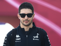 Esteban Ocon of Alpine before Sprint ahead of the Formula 1 Grand Prix of Qatar at Lusail International Circuit in Lusail, Qatar on November...