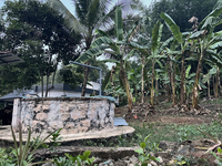 A well stands by banana trees in front of a home in Konni, Pathanamthitta, Kerala, India, on April 5, 2024. (