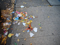 Debris is on the ground on Holland Avenue. The New York City Police Department asks for the public's assistance in locating a suspect and ve...