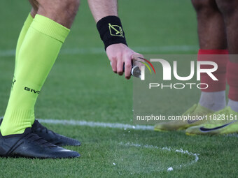 The referee of the match, Antonio Giua from Olbia, draws the limit of the penalty kick during the Italian Serie B soccer championship match...