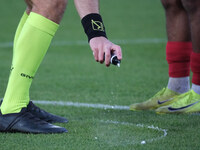 The referee of the match, Antonio Giua from Olbia, draws the limit of the penalty kick during the Italian Serie B soccer championship match...