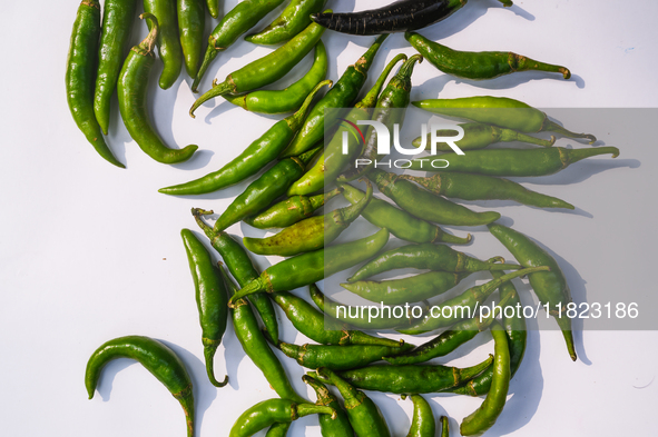 Green chilies, also known as hari mirch in India, are a staple ingredient in Indian cooking and are known for their distinct flavor and inte...