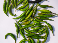 Green chilies, also known as hari mirch in India, are a staple ingredient in Indian cooking and are known for their distinct flavor and inte...