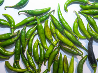 Green chilies, also known as hari mirch in India, are a staple ingredient in Indian cooking and are known for their distinct flavor and inte...