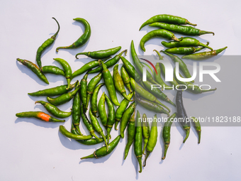 Green Chilies, Also Known As Hari Mirch In India, Are A Staple Ingredient In Indian Cooking And Are Known For Their Distinct Flavor And Inte...