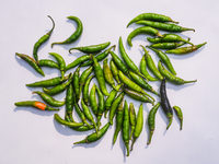 Green Chilies, Also Known As Hari Mirch In India, Are A Staple Ingredient In Indian Cooking And Are Known For Their Distinct Flavor And Inte...