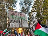 Citizens and activists gather to participate in a demonstration in solidarity with the Palestinian people in Rome, Italy, on November 30, 20...