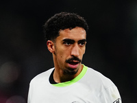 Tiago Tomas of VfL Wolfsburg  looks on during the Bundesliga match between RB Leipzig and VfL Wolfsburg at Red Bull Arena, Leipzig, Germany...