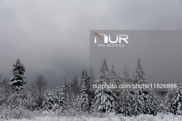 Foggy picturesque views of Beskid Zywieckiare seen as snow covers trees and the path. 